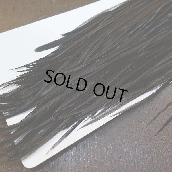 画像5: 【WHITING】Hebert ROOSTER SADDLE PRO Grade - Black  #12-14 No.2 (5)