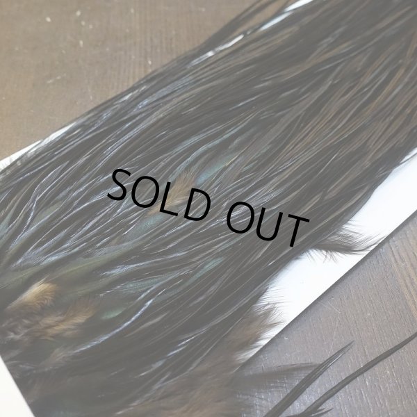 画像3: 【WHITING】Hebert ROOSTER SADDLE PRO Grade - Black  #12-14 No.2 (3)