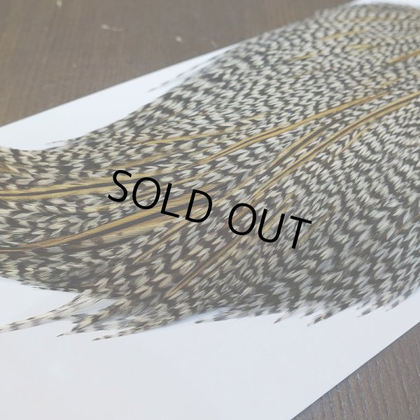 画像5: 【WHITING】Hebert ROOSTER CAPE PRO Grade - Grizzly variant No.2 (5)