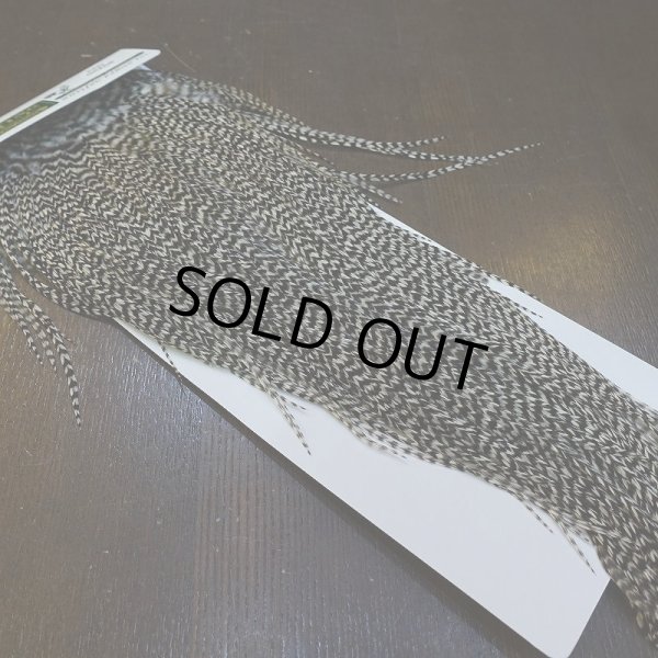 画像2: 【WHITING】Hebert Pro Grade Rooster Saddle - Grizzly #12 No.2 (2)