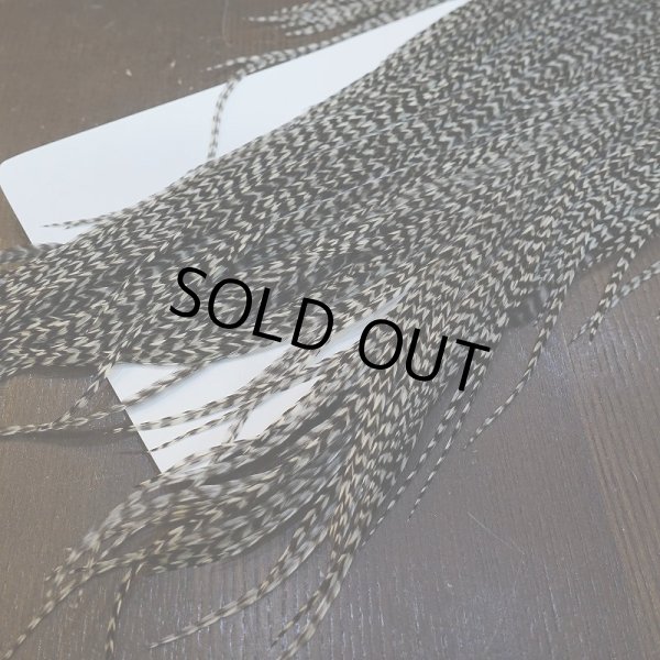 画像5: 【WHITING】Hebert Pro Grade Rooster Saddle - Grizzly #12 No.2 (5)