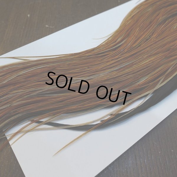 画像5:  【WHITING】Hebert Bronze Grade Saddle Furnace #16 No.2 (5)