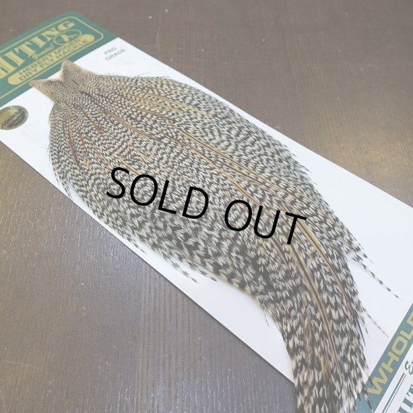 画像2: 【WHITING】Hebert ROOSTER CAPE PRO Grade - Grizzly variant No.2 (2)