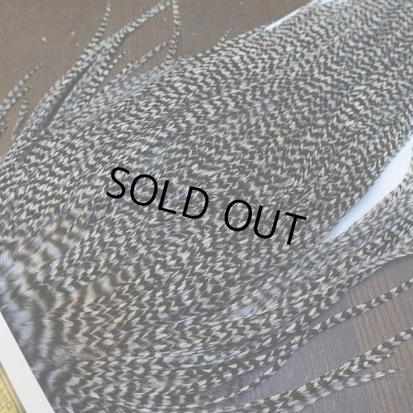 画像3: 【WHITING】Hebert Pro Grade Rooster Saddle - Grizzly #12 No.2 (3)