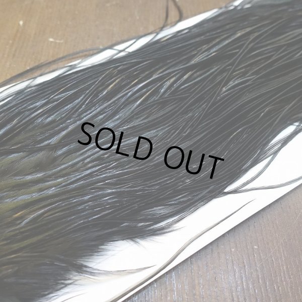 画像3: 【WHITING】Hebert Bronze Grade Saddle - Dyed Black No.2 #16 (3)