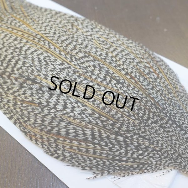 画像4: 【WHITING】Hebert ROOSTER CAPE PRO Grade - Grizzly variant No.2 (4)