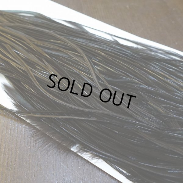 画像4: 【WHITING】Hebert ROOSTER SADDLE PRO Grade - Black  #14 No.3 (4)