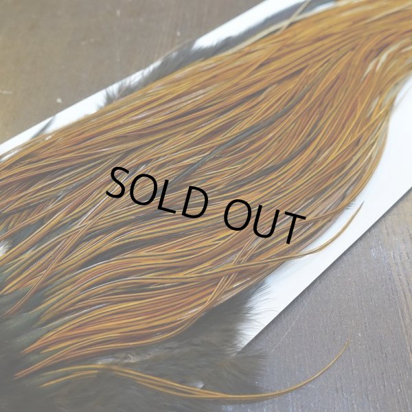 画像3:  【WHITING】Hebert Bronze Grade Saddle Furnace #16 No.2 (3)