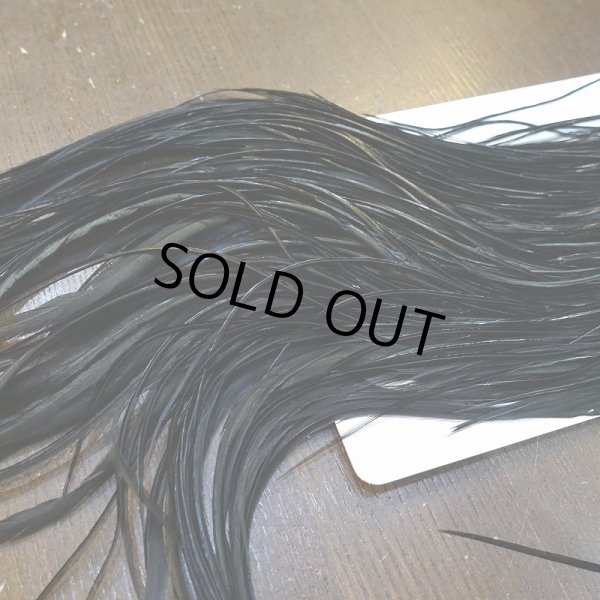 画像5: 【WHITING】Hebert Bronze Grade Saddle - Dyed Black No.2 #16 (5)