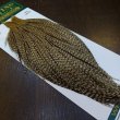 画像2: 【WHITING】Hebert ROOSTER CAPE PRO Grade - DUN GRIZZLY No.3 (2)