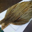 画像3: 【WHITING】Hebert ROOSTER CAPE PRO Grade - Unique variant No.1 (3)