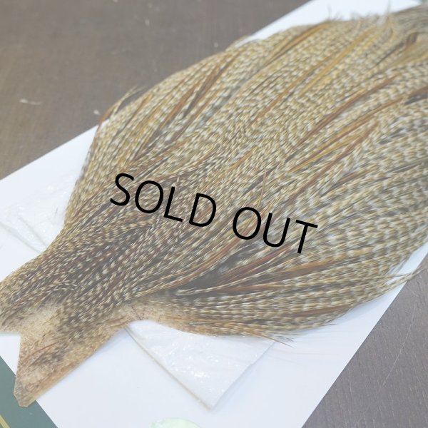 画像3: 【WHITING】Hebert ROOSTER CAPE PRO Grade - Unique variant No.1 (3)