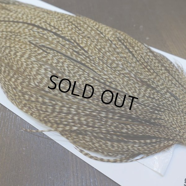 画像4: 【WHITING】Hebert ROOSTER CAPE PRO Grade - DUN GRIZZLY No.3 (4)