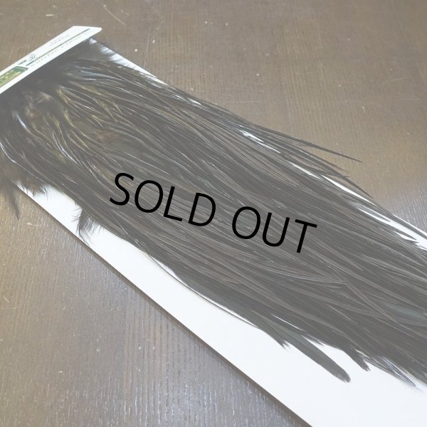 画像2: 【WHITING】Hebert ROOSTER SADDLE PRO Grade - Black  #12-14 No.2 (2)