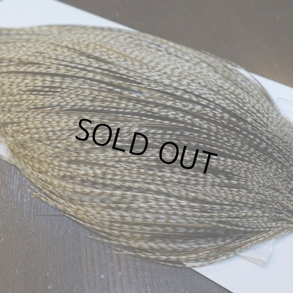 画像4: 【WHITING】Hebert ROOSTER CAPE PRO Grade - DUN GRIZZLY No.2 (4)