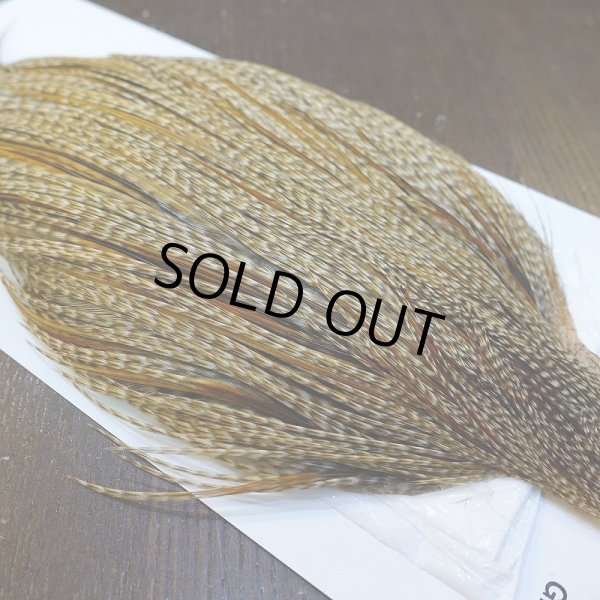 画像4: 【WHITING】Hebert ROOSTER CAPE PRO Grade - Unique variant No.1 (4)