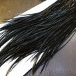 画像5: 【WHITING】Hebert Bronze Grade Saddle - Dyed Black No.4 #14  (5)