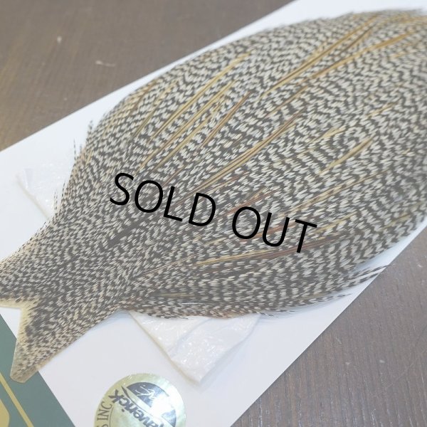 画像3: 【WHITING】Hebert ROOSTER CAPE PRO Grade - Grizzly variant No.2 (3)