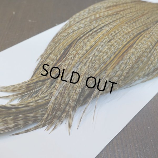 画像5: 【WHITING】Hebert ROOSTER CAPE PRO Grade - Unique variant No.1 (5)