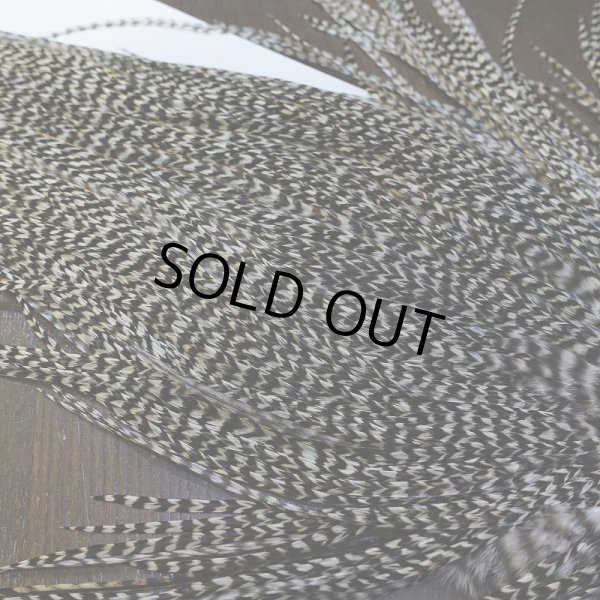 画像4: 【WHITING】Hebert Pro Grade Rooster Saddle - Grizzly #12 No.2 (4)