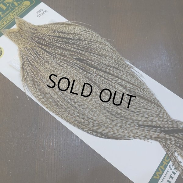 画像2: 【WHITING】Hebert ROOSTER CAPE PRO Grade - DUN GRIZZLY No.2 (2)