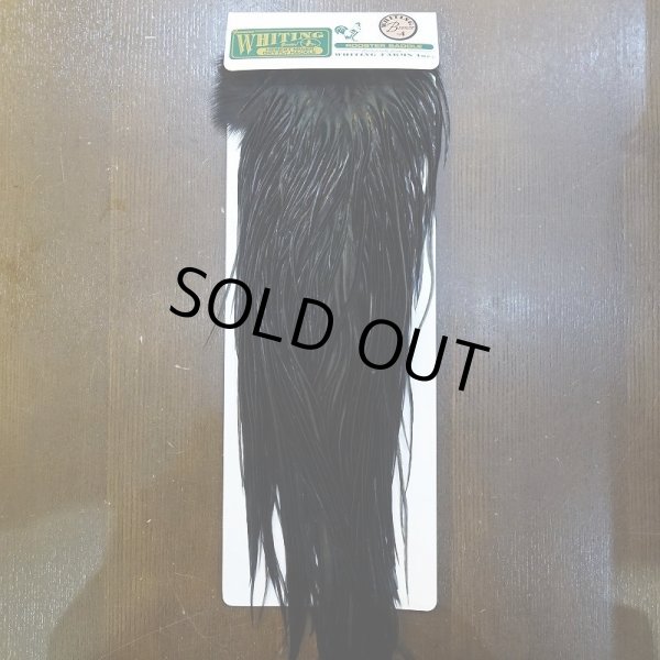 画像1: 【WHITING】Hebert Bronze Grade Saddle - Dyed Black No.1 #14 (1)