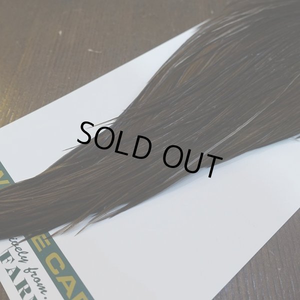 画像5: 【WHITING】Hebert ROOSTER CAPE Bronze Grade - DARK BROWN DUN No.1 (5)