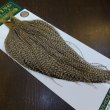 画像2: 【WHITING】Hebert ROOSTER CAPE Bronze Grade - DUN GRIZZLY No.1 (2)