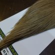 画像5: 【WHITING】Hebert ROOSTER CAPE Bronze Grade - MEDIUM BROWN DUN No.1 (5)