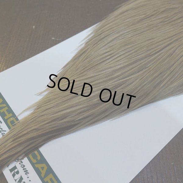 画像5: 【WHITING】Hebert ROOSTER CAPE Bronze Grade - MEDIUM BROWN DUN No.1 (5)