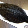 画像4: 【WHITING】Hebert Bronze Grade Cape NA Black No.3 (4)