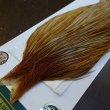 画像3: 【WHITING】Hebert ROOSTER CAPE Bronze Grade - Honey Dun No.1 (3)