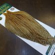 画像2: 【WHITING】Hebert ROOSTER CAPE Bronze Grade - BARRED MEDIUM GINGER No.2 (2)