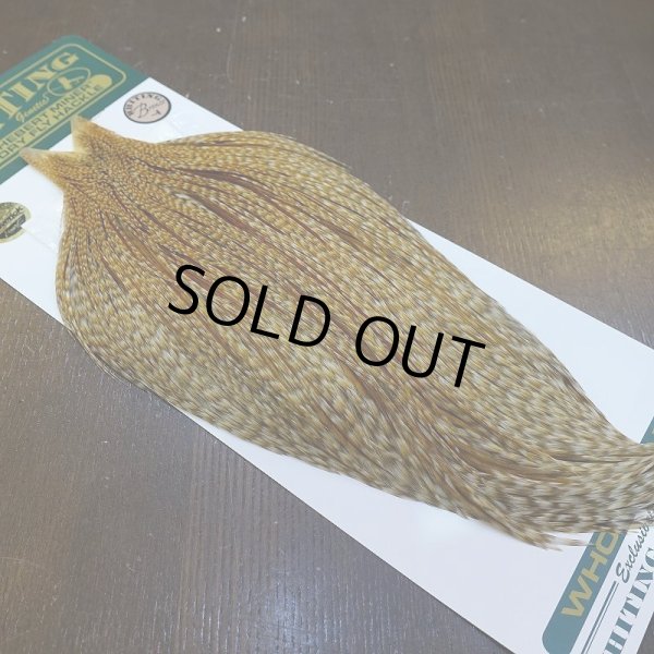 画像2: 【WHITING】Hebert ROOSTER CAPE Bronze Grade - BARRED MEDIUM GINGER No.1 (2)