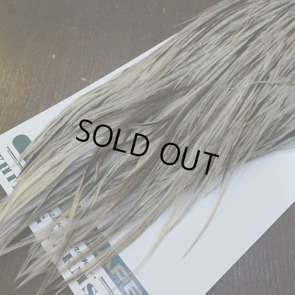 画像5: 【WHITING】Hebert ROOSTER CAPE Bronze Grade - Unique variant No.1 (5)