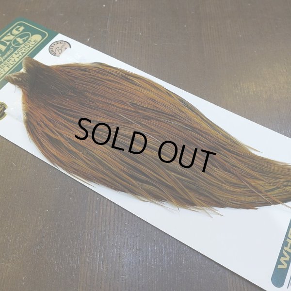 画像2: 【WHITING】Hebert ROOSTER CAPE Bronze grade - Furnace No.1 (2)