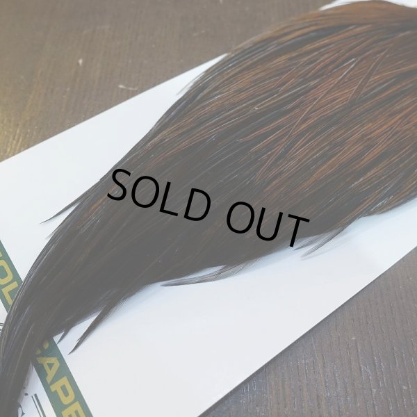 画像5: 【WHITING】Hebert ROOSTER CAPE Bronze grade - Furnace No.2 (5)