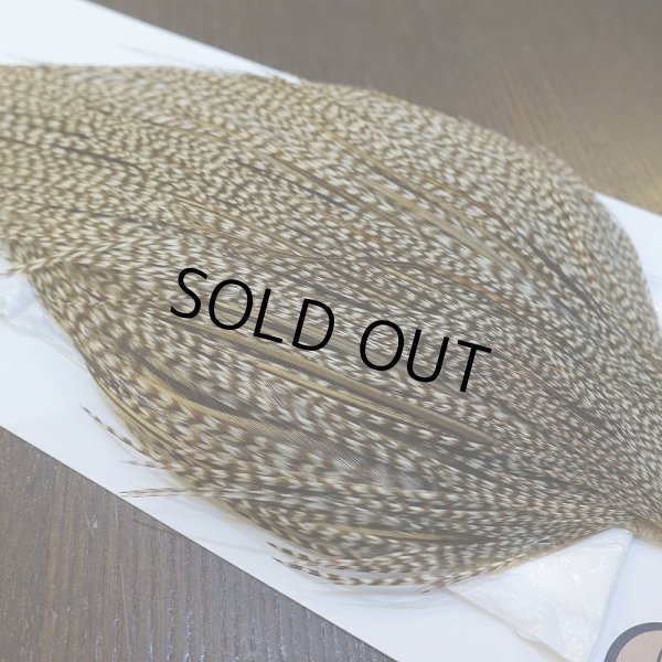 画像4: 【WHITING】Hebert ROOSTER CAPE Bronze Grade - DUN GRIZZLY No.1 (4)