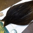 画像3: 【WHITING】Hebert ROOSTER CAPE Bronze Grade - DARK BROWN DUN No.1 (3)