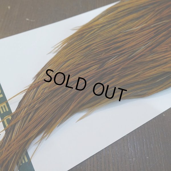 画像5: 【WHITING】Hebert ROOSTER CAPE Bronze grade - Furnace No.1 (5)