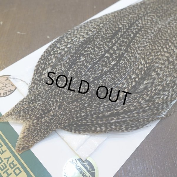 画像3: 【WHITING】Hebert ROOSTER CAPE Bronze Grade - Grizzly variant No.4 (3)