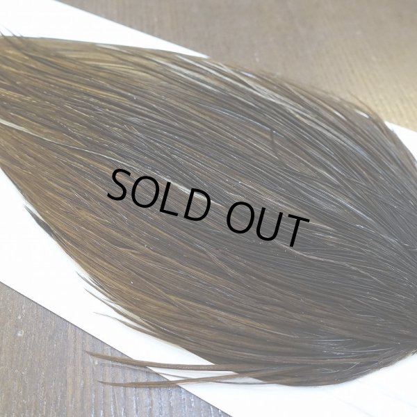 画像4: 【WHITING】Hebert ROOSTER CAPE Bronze Grade - DARK BROWN DUN No.1 (4)