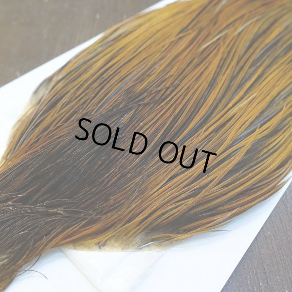 画像3: 【WHITING】Hebert ROOSTER CAPE Bronze grade - Furnace No.1 (3)