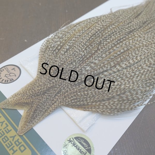 画像3: 【WHITING】Hebert ROOSTER CAPE Bronze Grade - DUN GRIZZLY No.1 (3)