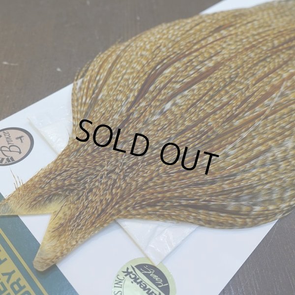 画像3: 【WHITING】Hebert ROOSTER CAPE Bronze Grade - BARRED MEDIUM GINGER No.1 (3)