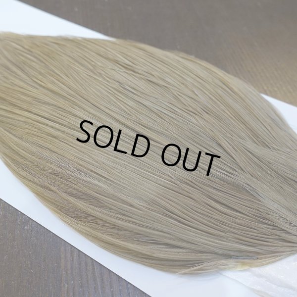 画像4: 【WHITING】Hebert ROOSTER CAPE Bronze Grade - MEDIUM BROWN DUN No.1 (4)