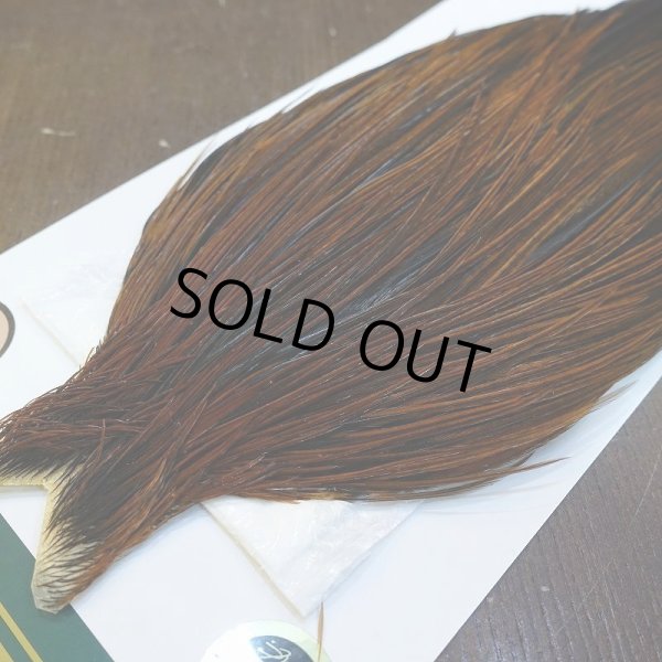 画像3: 【WHITING】Hebert ROOSTER CAPE Bronze grade - Furnace No.2 (3)