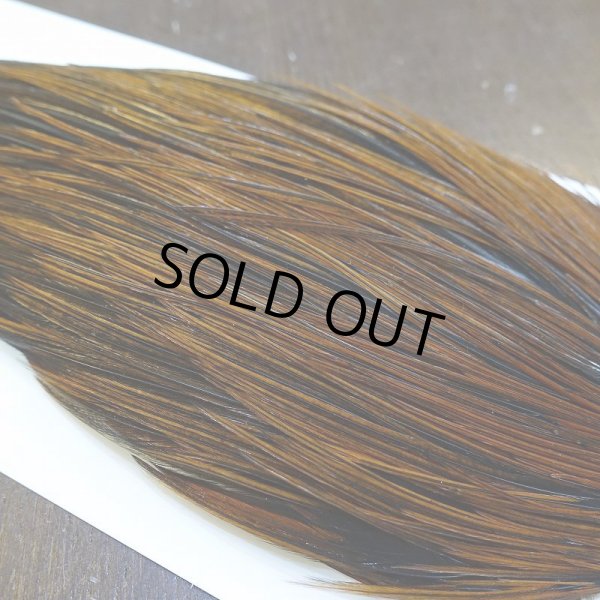 画像4: 【WHITING】Hebert ROOSTER CAPE Bronze grade - Furnace No.2 (4)