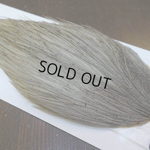 画像4: 【WHITING】Hebert ROOSTER CAPE Bronze Grade - LIGHT GREY DUN No.1 (4)