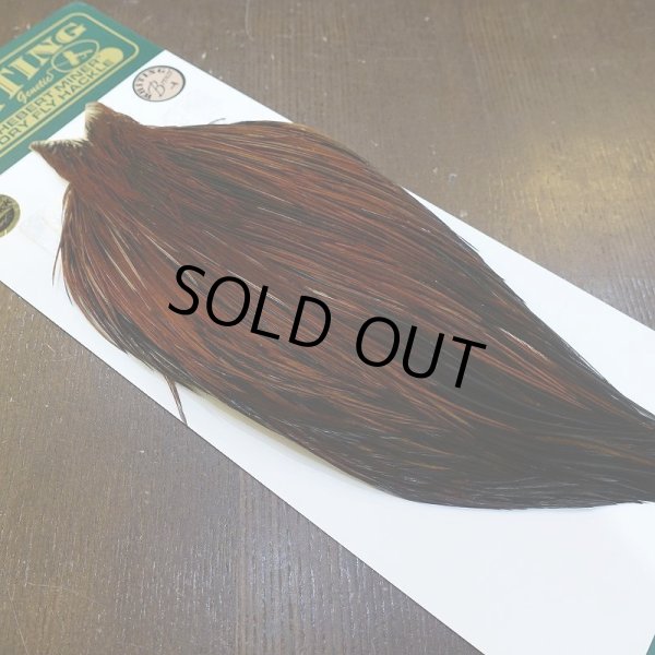 画像2: 【WHITING】Hebert ROOSTER CAPE Bronze grade - Furnace No.3 (2)